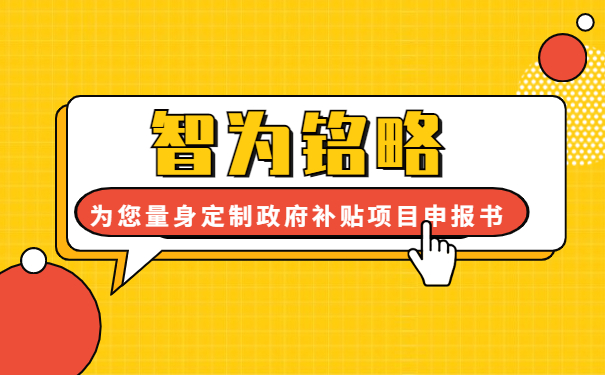 智為銘略為您量身定制2年的政府補(bǔ)貼項(xiàng)目咨詢方案書