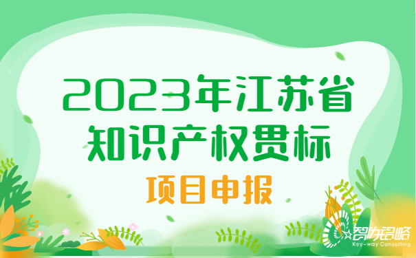 2023年江蘇省知識(shí)產(chǎn)權(quán)貫標(biāo)項(xiàng)目咨詢