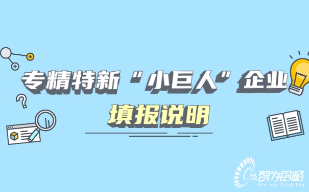 專精特新“小巨人”企業(yè)填報(bào)說(shuō)明.jpg