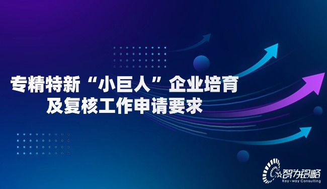 專精特新“小巨人”企業(yè)培育及復(fù)核工作申請要求.jpg