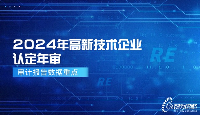 2024年高新技術(shù)企業(yè)認(rèn)定年審—審計(jì)報(bào)告數(shù)據(jù)重點(diǎn).jpg