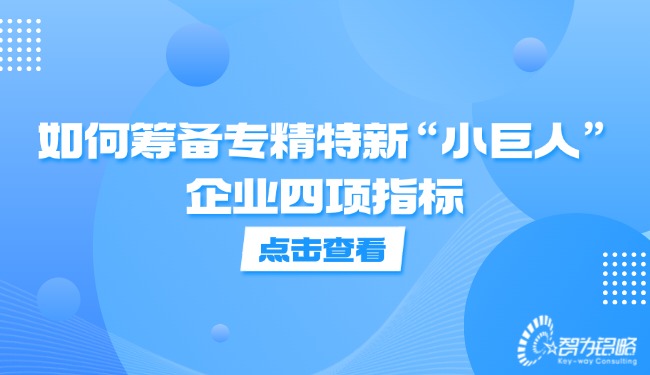 如何籌備專精特新“小巨人”企業(yè)四項(xiàng)指標(biāo).jpg