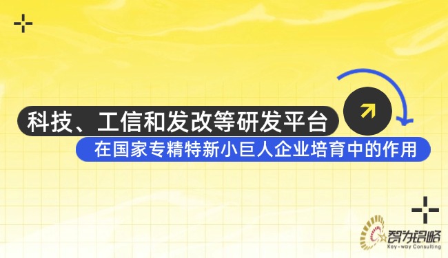 科技、工信和發(fā)改等研發(fā)平臺(tái)在國(guó)家專(zhuān)精特新小巨人企業(yè)培育中的作用.jpg